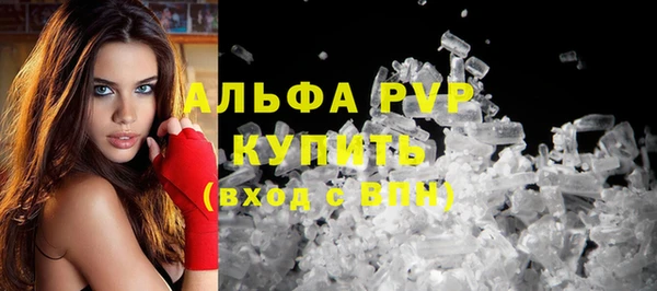 ПСИЛОЦИБИНОВЫЕ ГРИБЫ Вяземский