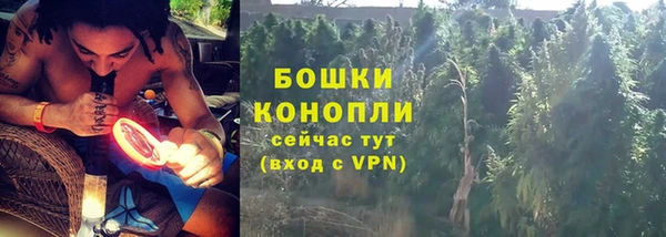 трава Вязьма