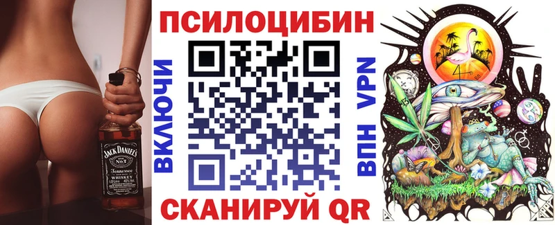 Псилоцибиновые грибы Psilocybe Михайловка